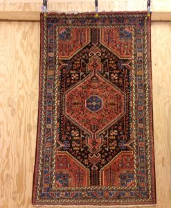 Toyserka Rug