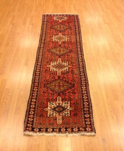 Gardejeh Rug