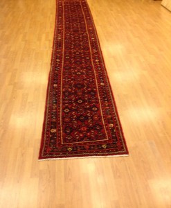 Hamadan Rug