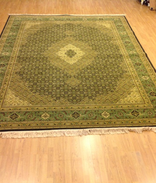 Tabriz D