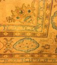 IMG_5246