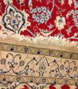 IMG_2548